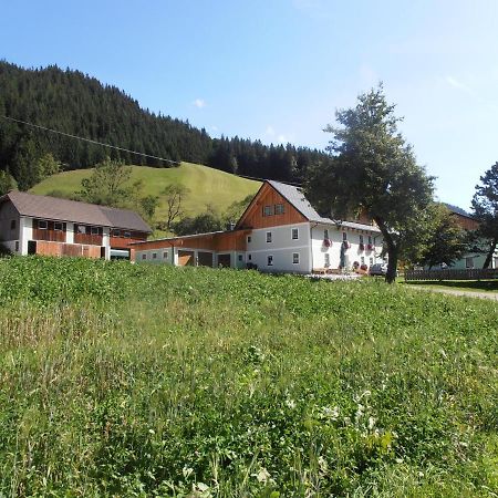 Huberbauer Villa Johnsbach Kültér fotó