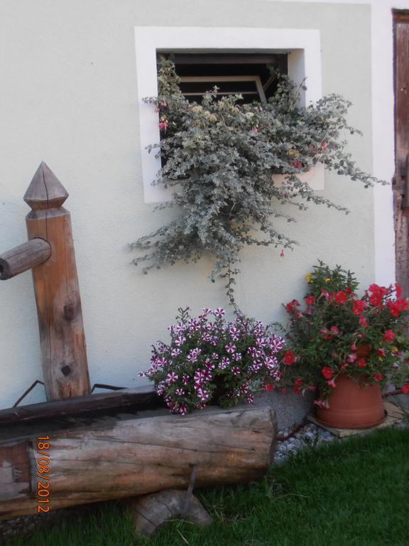 Huberbauer Villa Johnsbach Kültér fotó