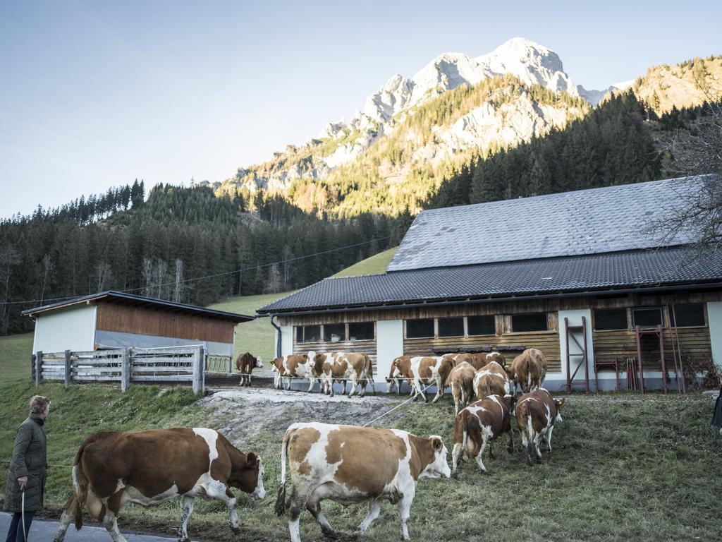 Huberbauer Villa Johnsbach Kültér fotó