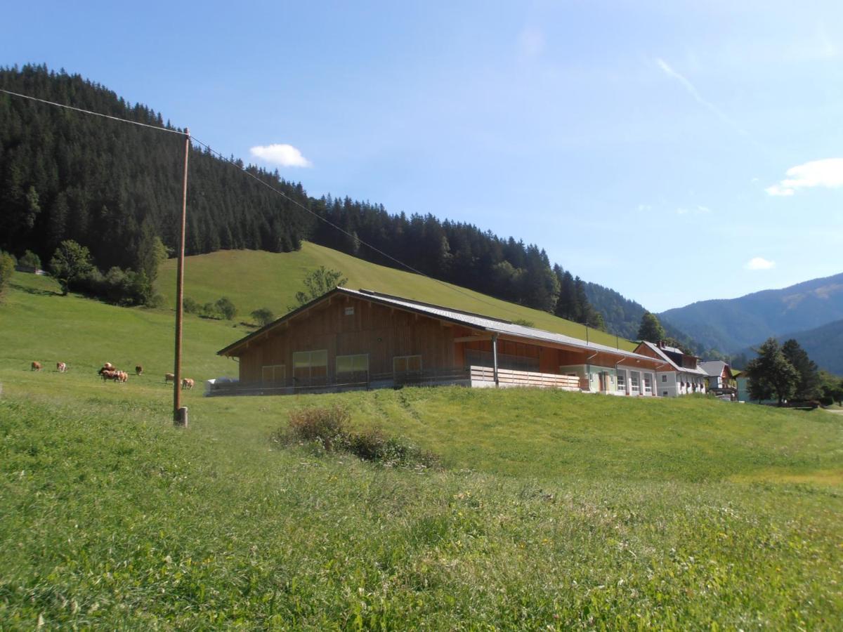 Huberbauer Villa Johnsbach Kültér fotó