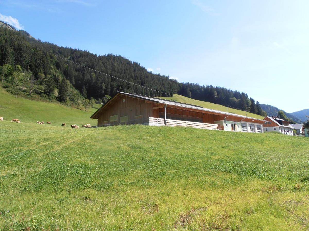 Huberbauer Villa Johnsbach Kültér fotó